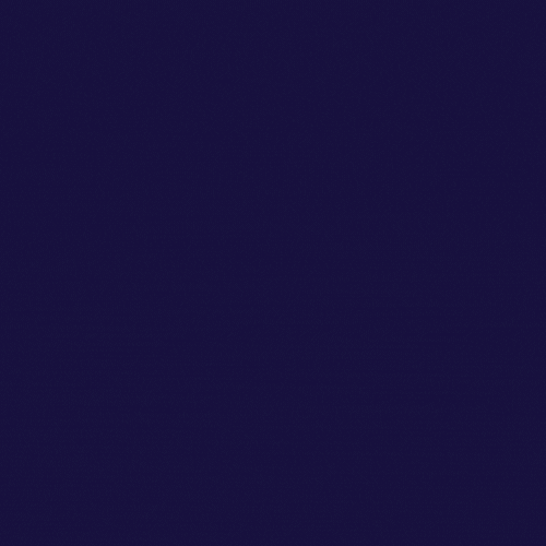 Wizz You logo